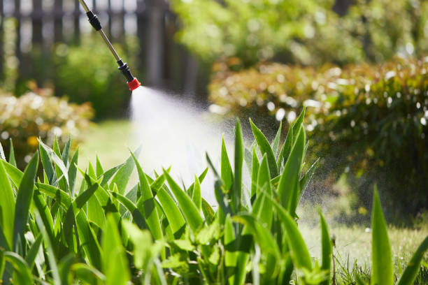 24/7 Emergency Termite Control experts in Mount Carmel, PA