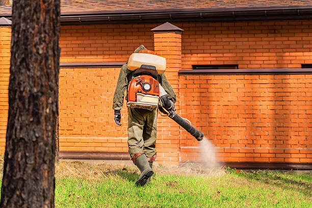 Top rated local Termite Control specialists in Mount Carmel, PA